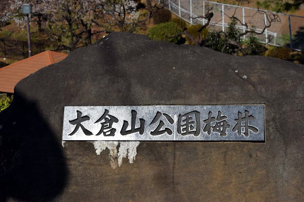 横浜市大倉山公園梅林入口